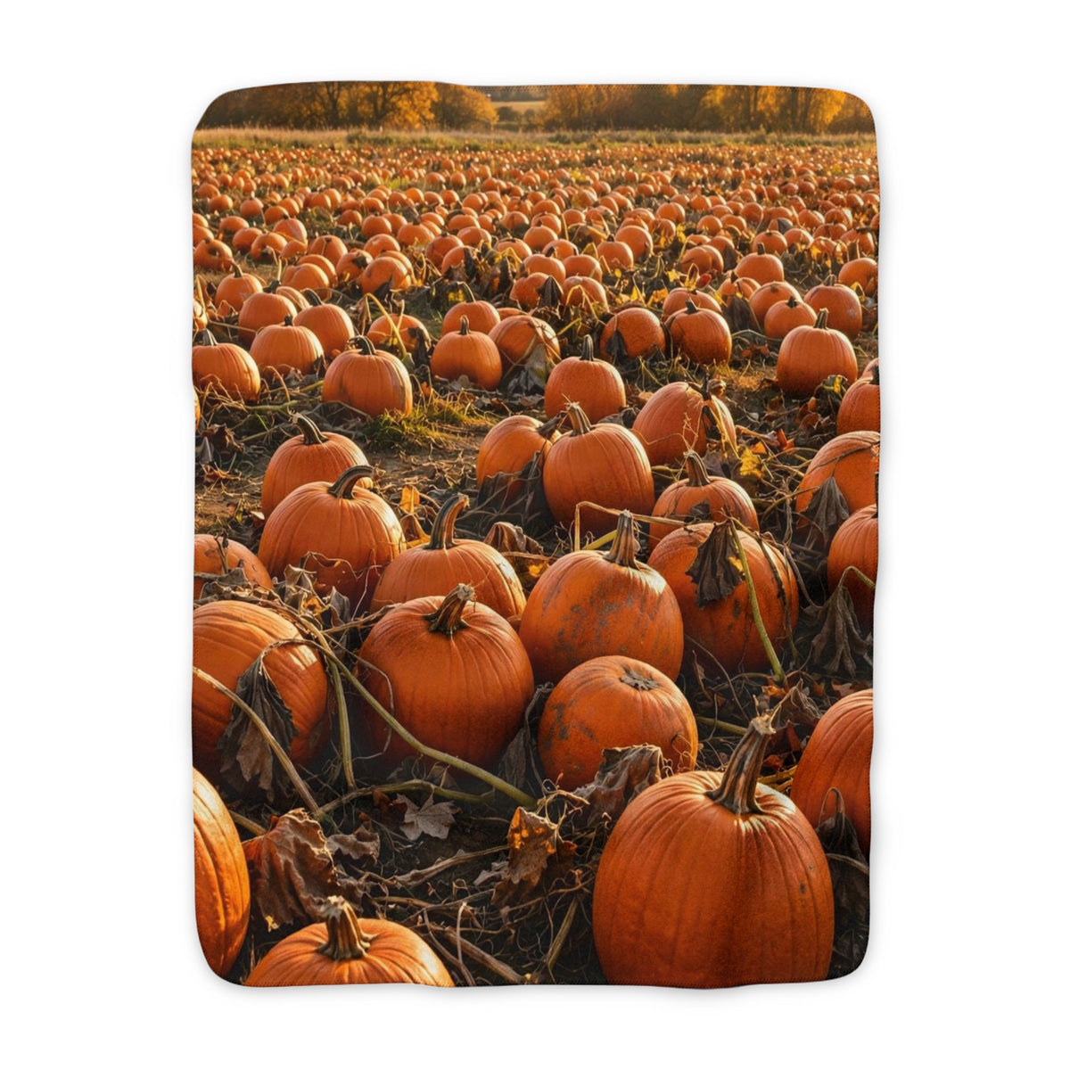 Pumpkin Patch Sherpa Blanket — Autumn Fleece Throw