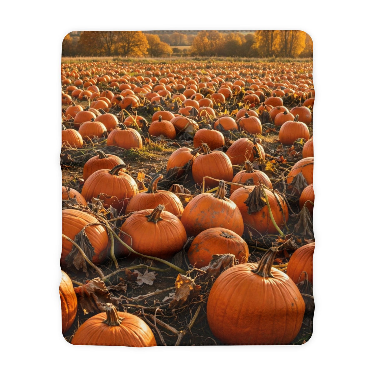 Pumpkin Patch Sherpa Blanket — Autumn Fleece Throw