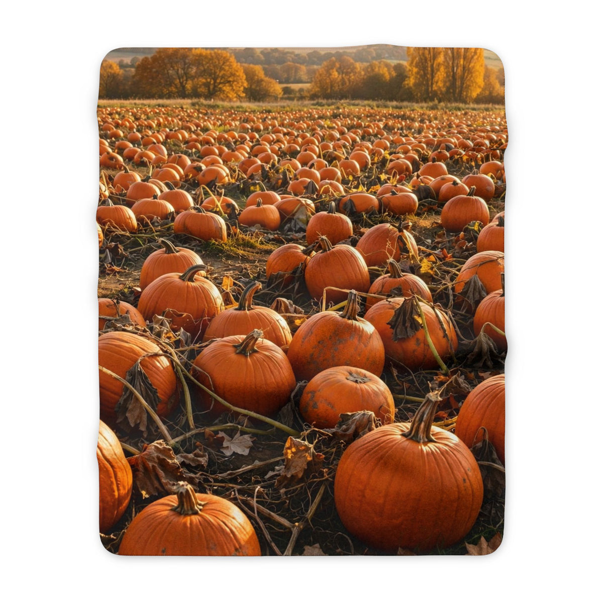 Pumpkin Patch Sherpa Blanket — Autumn Fleece Throw